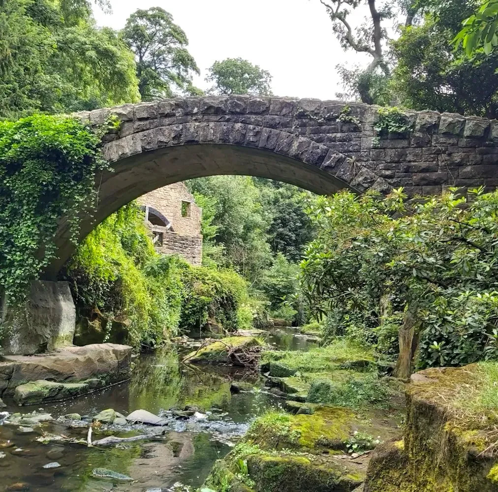 Jesmond Dene near Marrime Newcastle